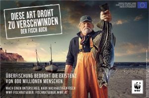 WWF kampagne: verschwinden fische, verschwinden menschen